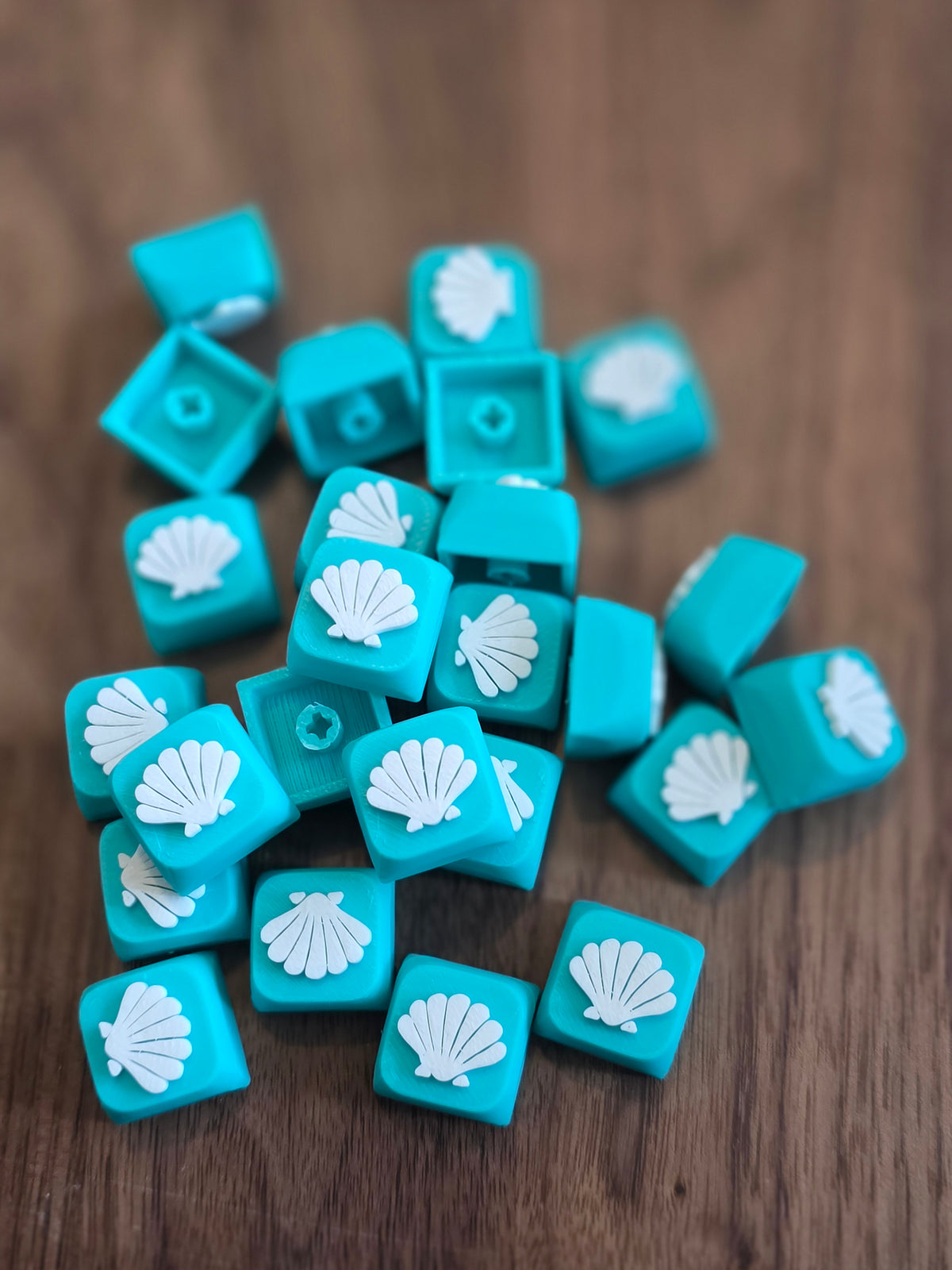 Schelp 2 keycap voor je clicker