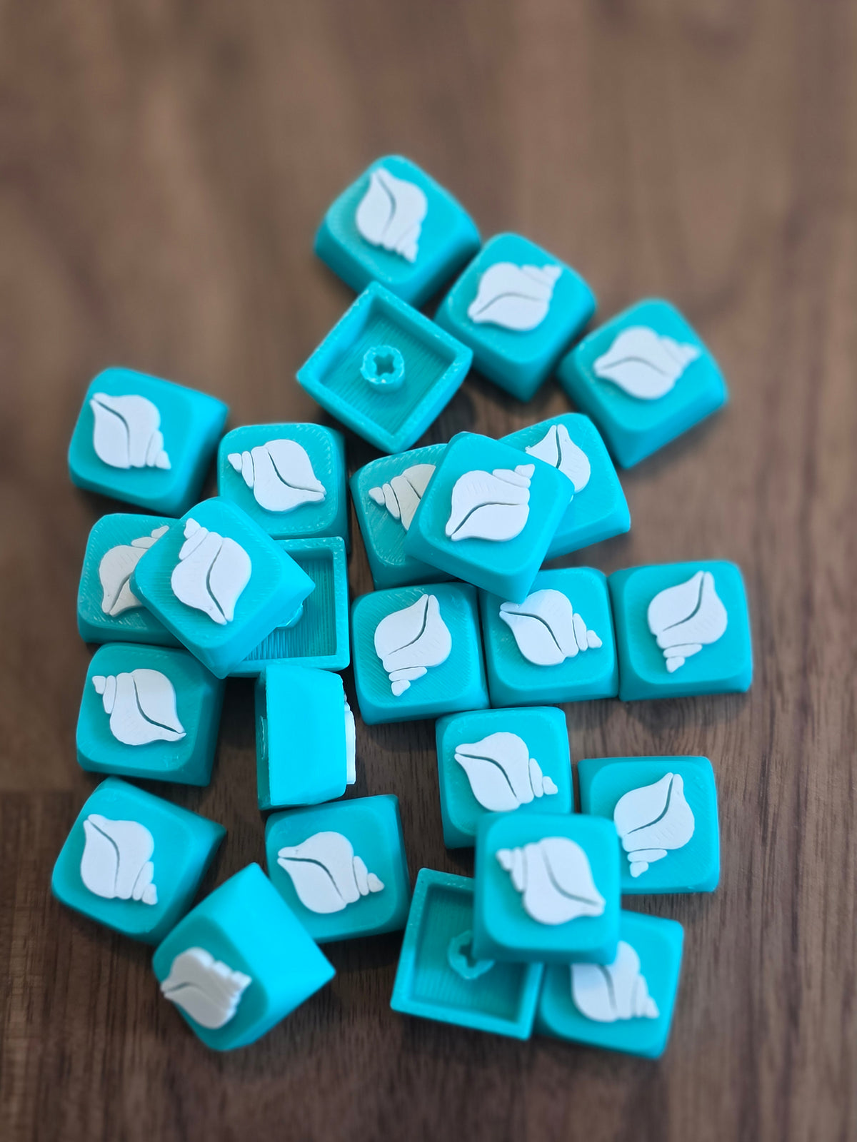 Schelp 1 keycap voor je clicker
